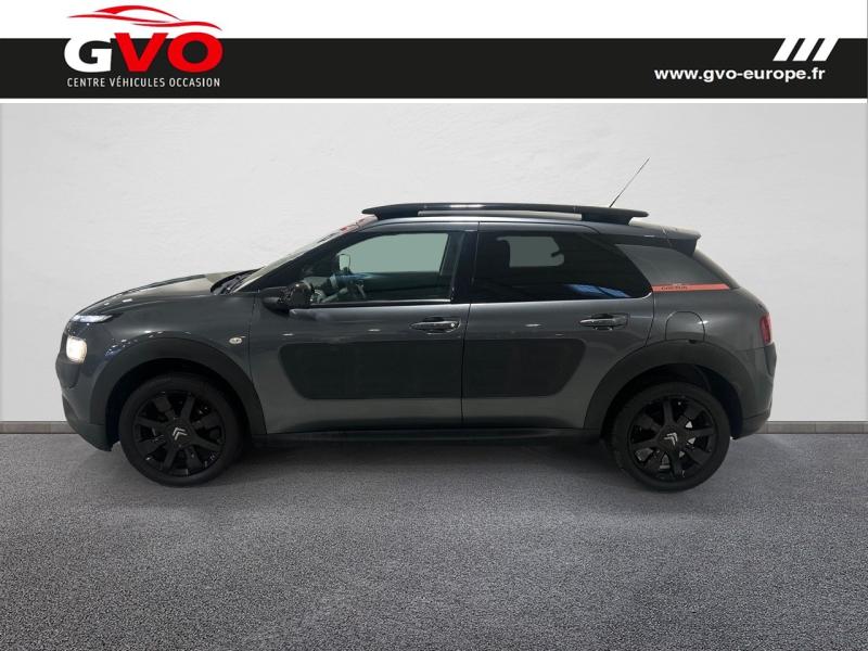 C4 Cactus_2